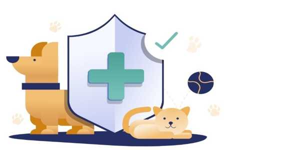 Is Pet Insurance Worth It? A Guide To Protecting Your Pet’s Health And Your Wallet